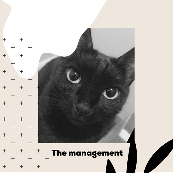 shop information / meet the seller - Picture 1 of 3